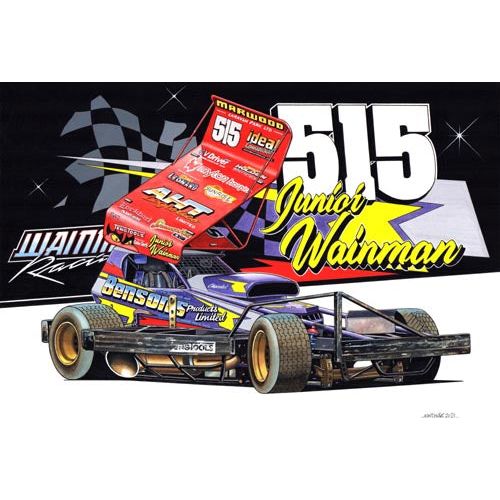 Brisca F1 #515 FWJ Shale Caricature Print Prints Stock Car & Banger Toy Tracks