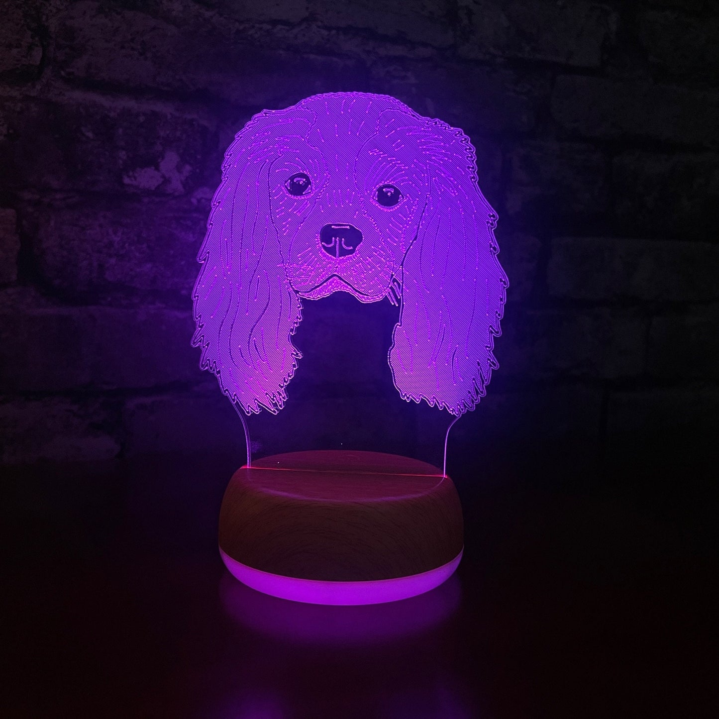 Personalised King Charles Spaniel LED Lamp Night Light Night Light Stock Car & Banger Toy Tracks