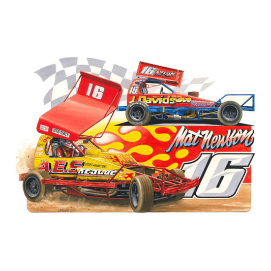 Brisca F1 Sticker #16 Mat Newson
