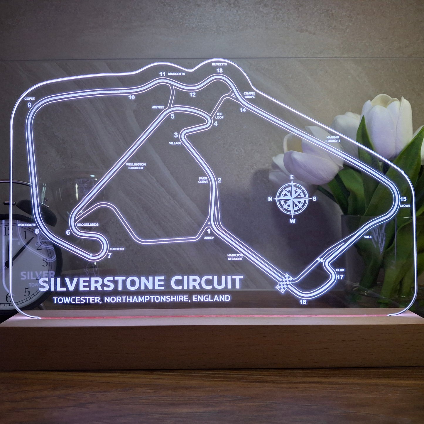 Silverstone Circuit LED Night Light