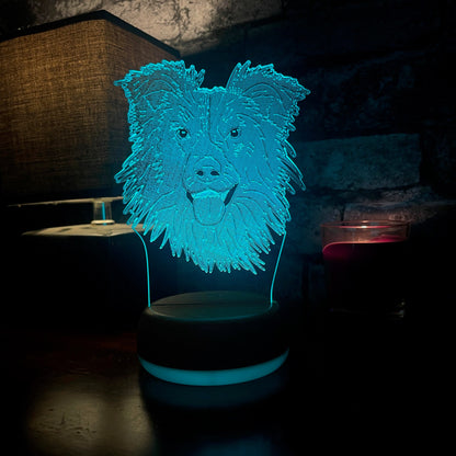 Personalised Border Collie Dog LED Lamp Night Light