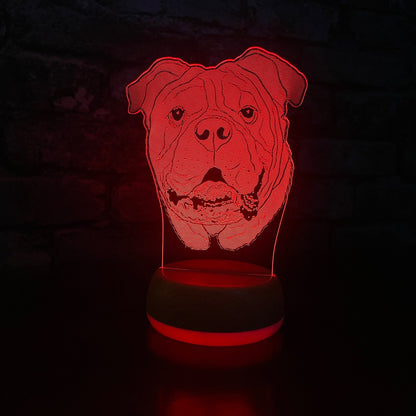 Personalised Bull Dog LED Lamp Night Light