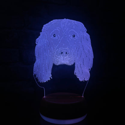 Personalised Springer Spaniel LED Lamp Night Light