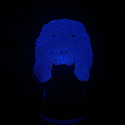 Personalised Springer Spaniel LED Lamp Night Light