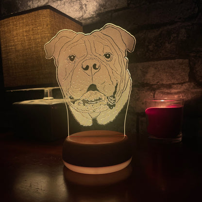 Personalised Bull Dog LED Lamp Night Light