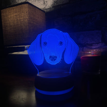 Personalised Dachshund Dog LED Lamp Night Light