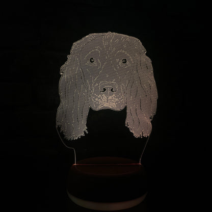 Personalised Springer Spaniel LED Lamp Night Light